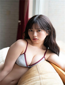 《侠岚第三季》