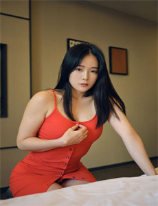 《一个陌生女人的来信2004》