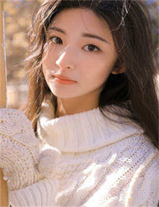 《欧美成人播放器》