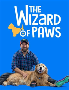 真假妈妈战总别虐夫人了